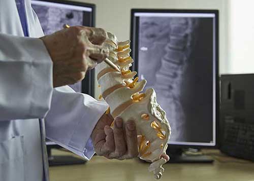 Chiropractic Care -Chiropractor Looking at Spine